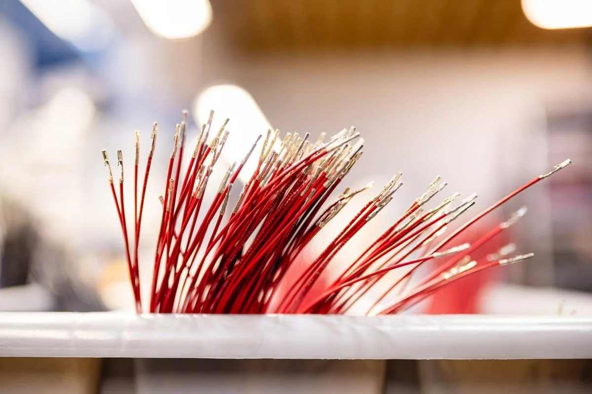 Prepared wire ends ready for connector assembly